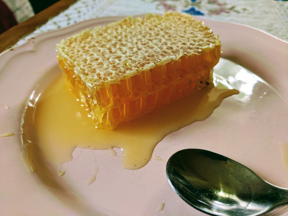 Med na talíři